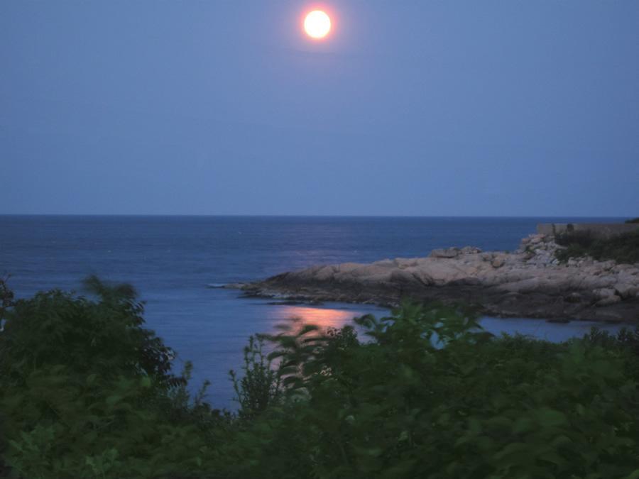 Seafarer Inn Rockport Bagian luar foto